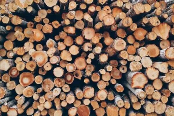 Photo by pexels