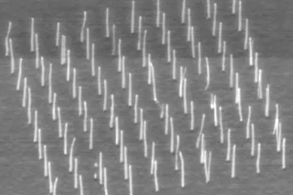Cultivation of precisely placed carbon nanofibres