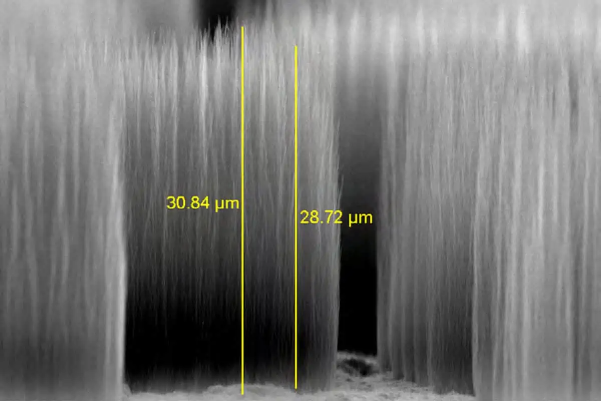 Vertically aligned carbon nanofibers