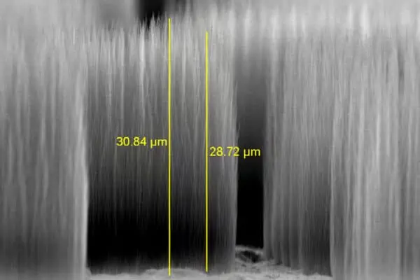 Vertically aligned carbon nanofibers
