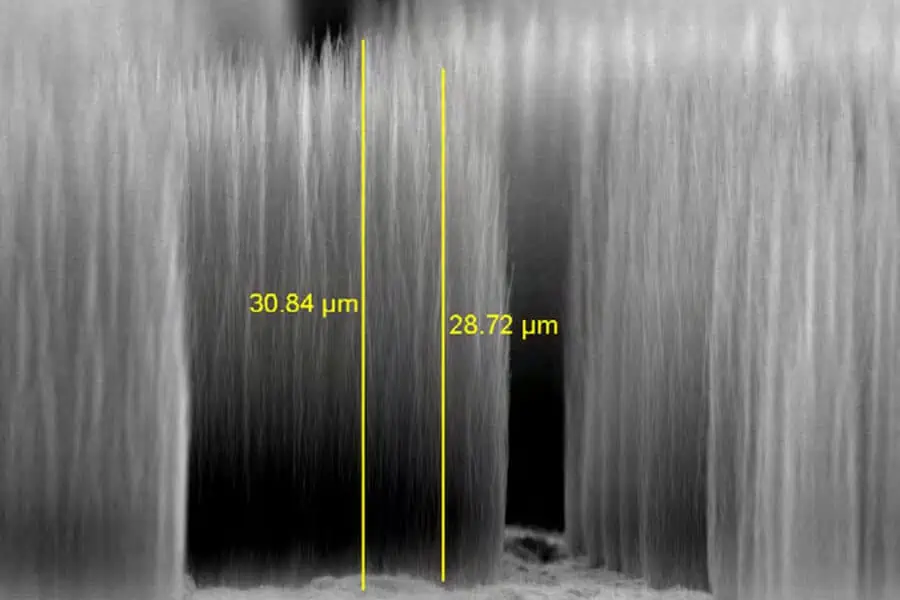 Vertically aligned carbon nanofibers