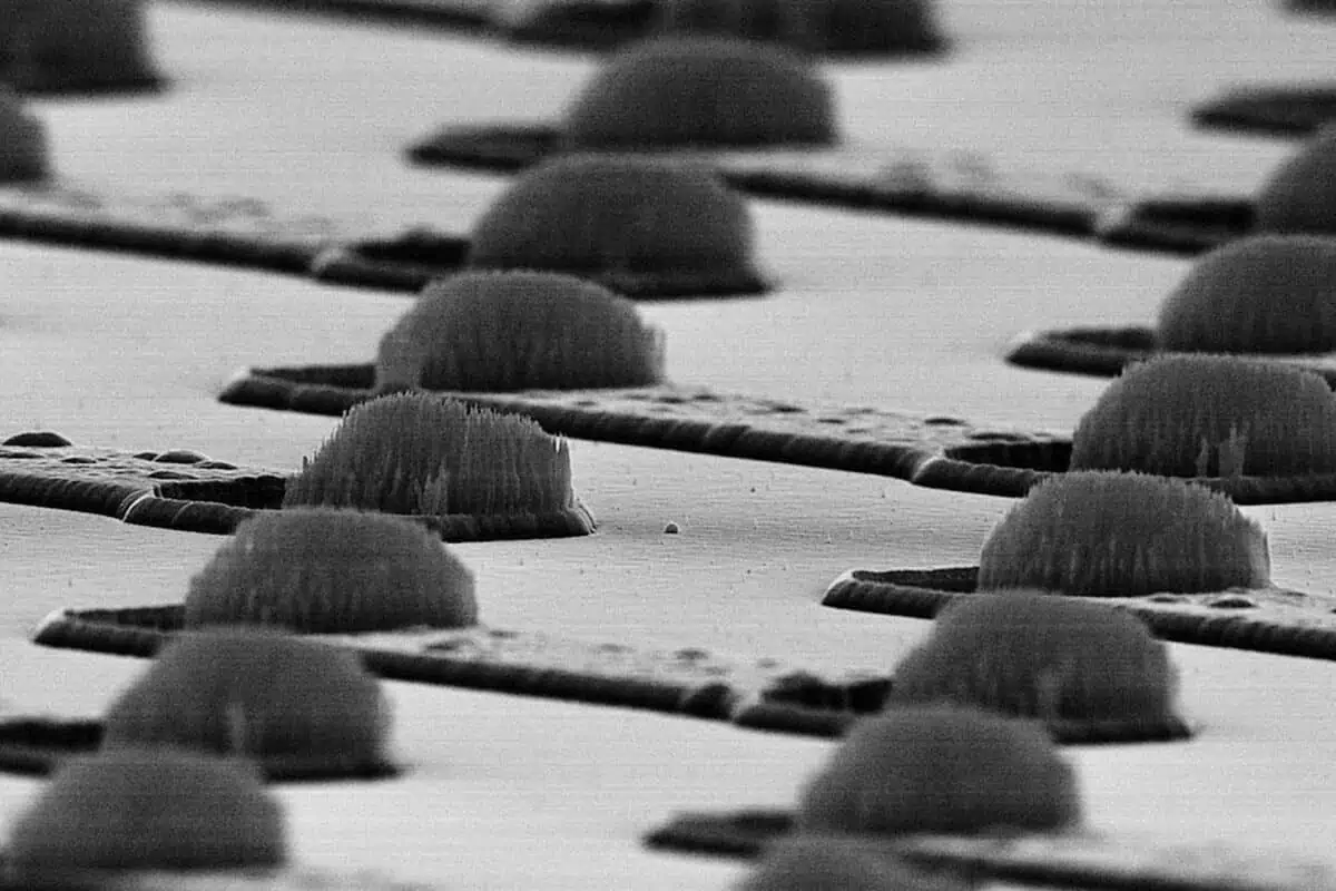 Carbon nanofiber microbumps