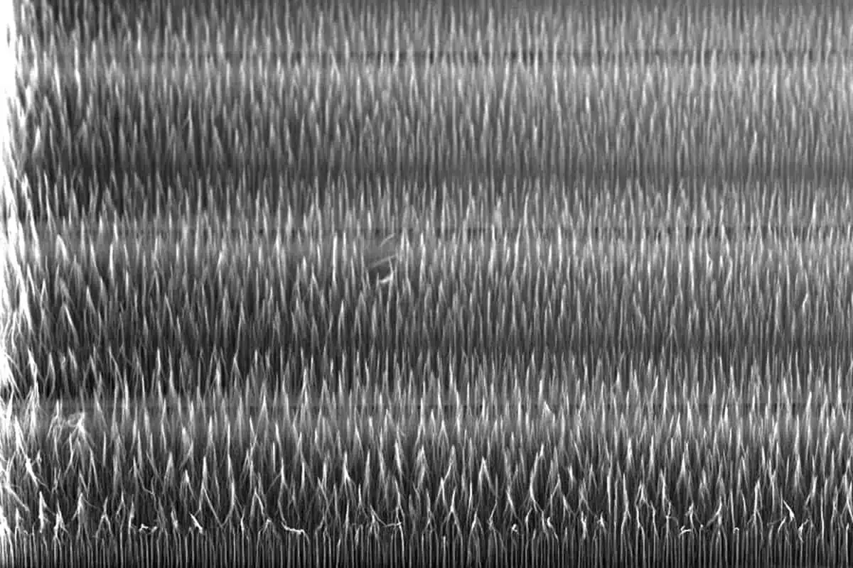 Carbon nanofiber thermal film.