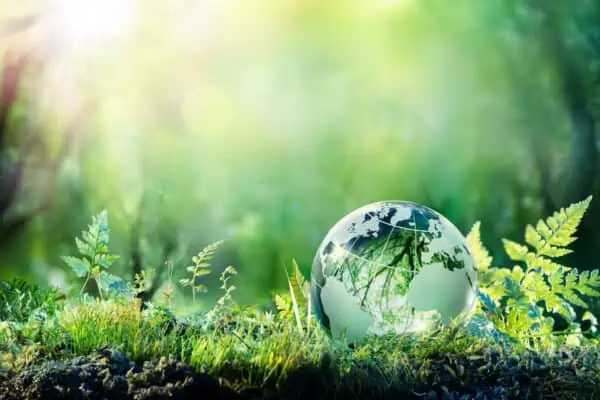 Green world