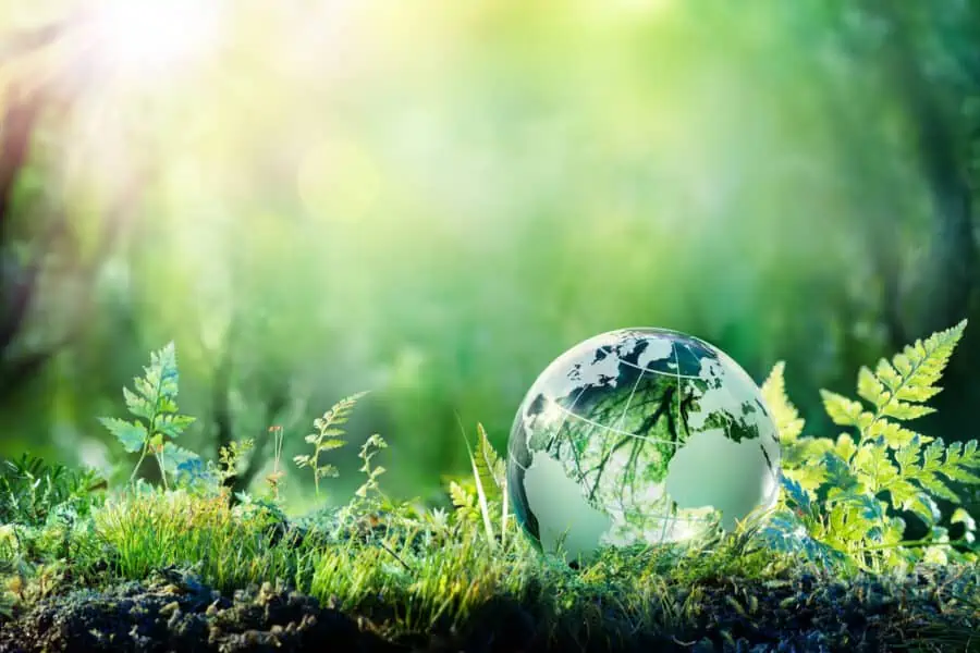 Green world