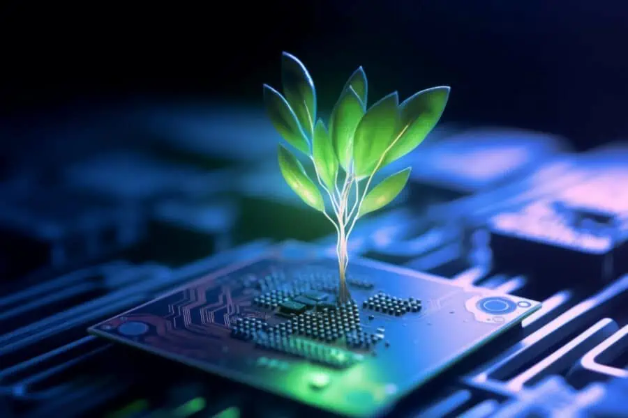 A green plant grows from a chip.