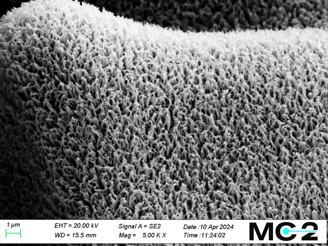 Smoltek Hydrogen 1000h Nanostructure 2024 04 10