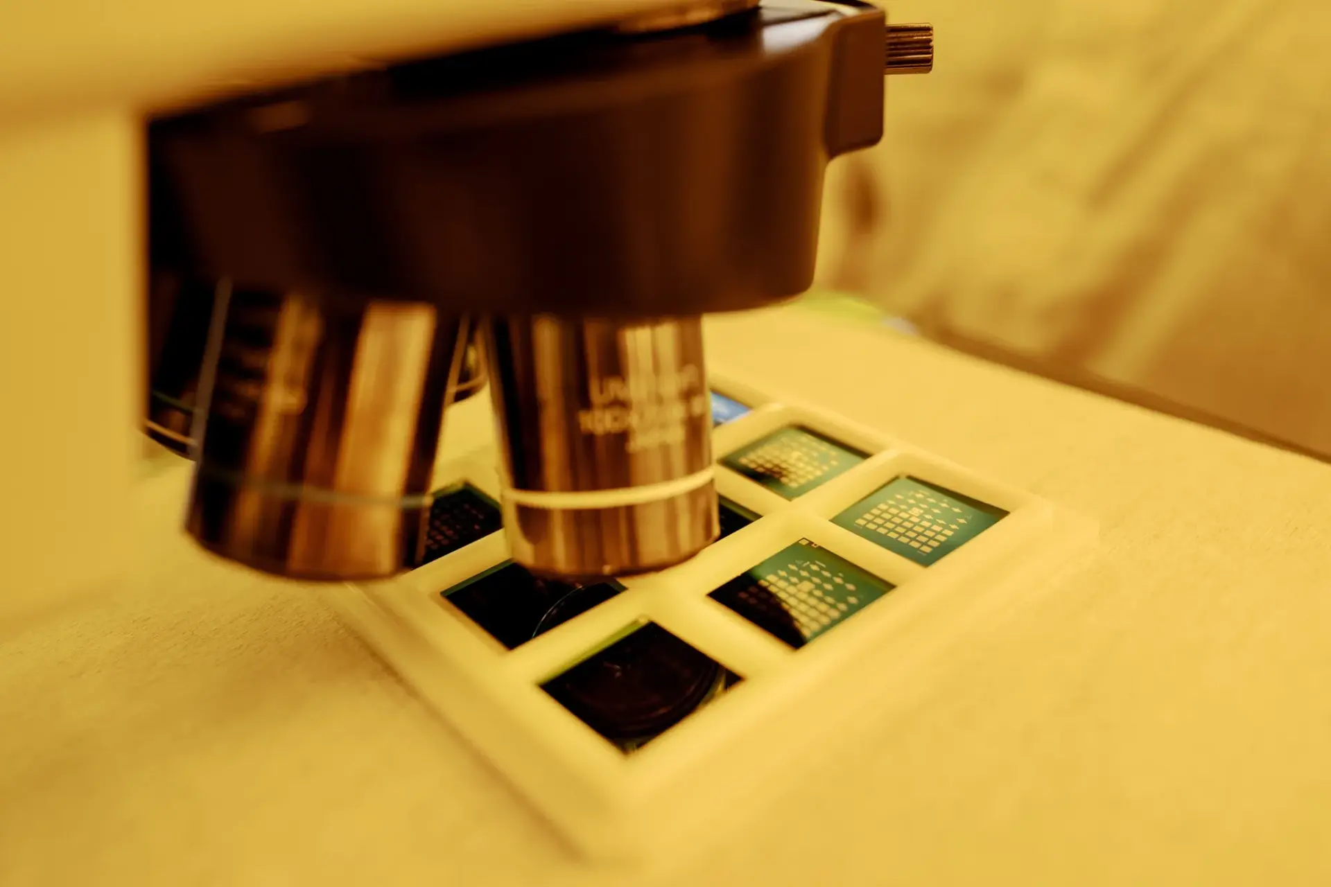 220608 smoltek renrum 07