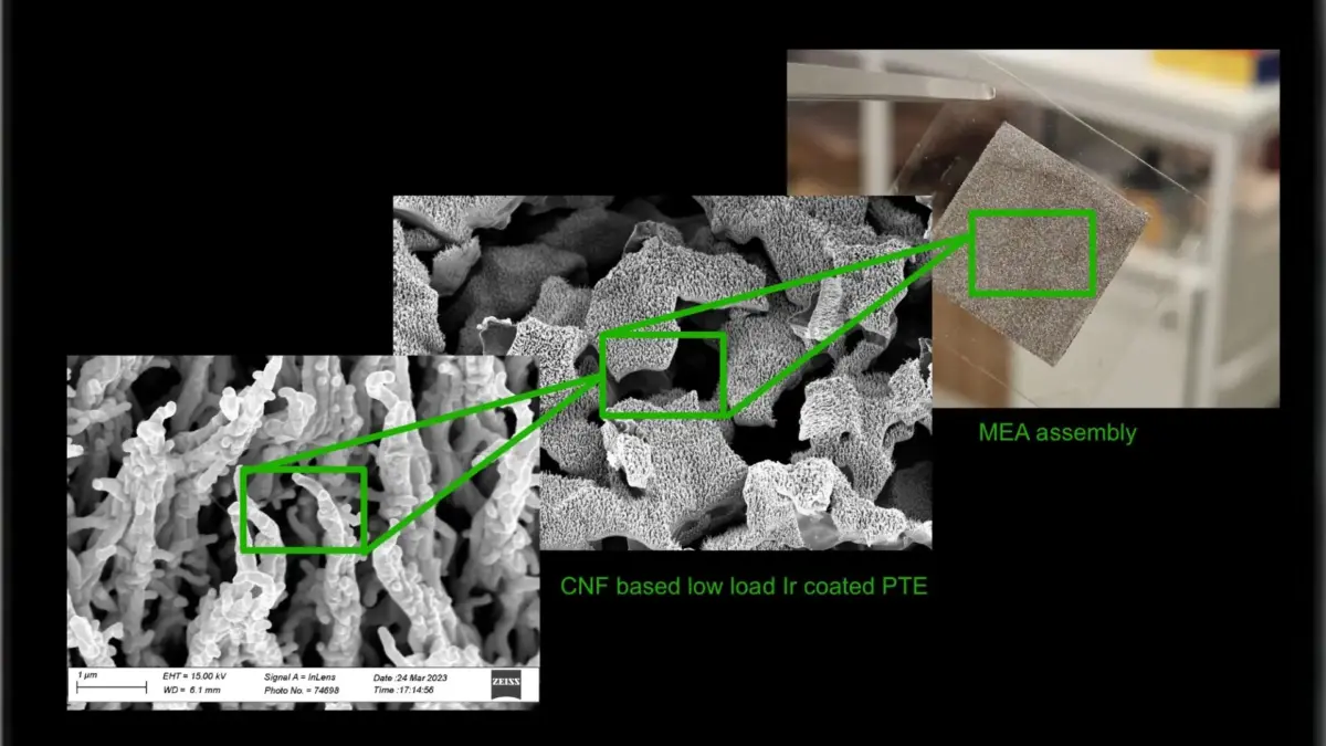 CNF PTE + anode side MEA
